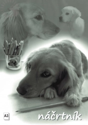 Carnet de croquis A3, 20 feuilles