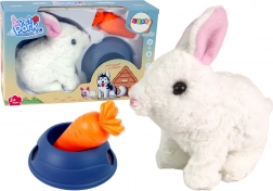 Lapin en peluche interactif avec bol et petite carotte