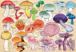 Puzzle Folie Fongique 1000 pièces