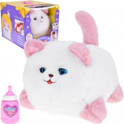 Chat interactif Pusia