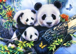 Puzzle Famille de pandas 1000 pièces