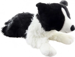 Chien en peluche Border Collie 70 cm