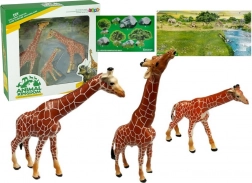 Figurines éducatives Girafes Famille 3 pcs + Décor Afrique