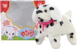 Chiot dalmatien marcheur avec saltos