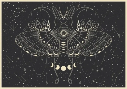 Puzzle Galaxy : Papillon Lunaire 500 pièces