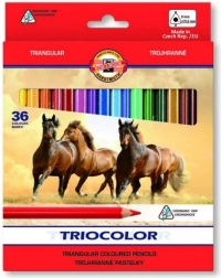 Crayons de couleur triangulaires KOH-I-NOOR TRIOCOLOR, 36 pcs