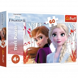 Puzzle 60 pièces Le monde enchanteur d’Anna et Elsa