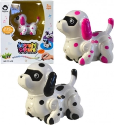 Le chien roulant sur une ligne peinte