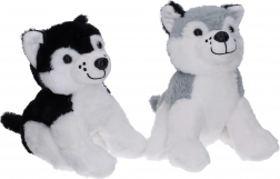 Husky en peluche 25 cm