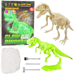 Kit archéologique – squelette de dinosaure lumineux avec outils