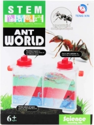 kit créatif – le monde des fourmis