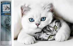 Peinture diamant Secret de chat 30 × 40 cm Norimpex