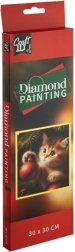 peinture diamant chat de Noël 30 × 30 cm