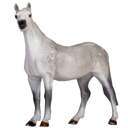Mojo trotteur orlovien – figurine de cheval réaliste XL