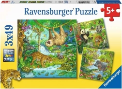 RAVENSBURGER Puzzle Animaux de la jungle 3x49 pièces
