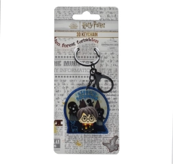 Porte-clés 3D Harry Potter