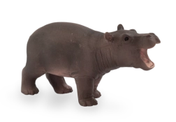 Mojo bébé hippopotame