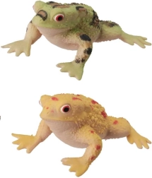 Grenouille bizarre – jouet souple et extensible (assortiment)