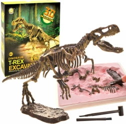 Kit de fouilles – squelette de T‑Rex 3D – T‑rex