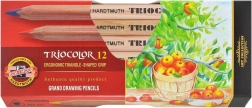 Crayons triangulaires Triocolor 12 pcs KOH-I-NOOR