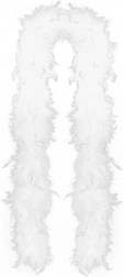 Boa en plumes blanc 180 cm