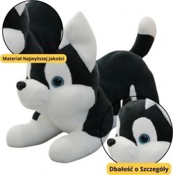 Peluche chien Husky noir et blanc 30 cm