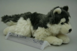 Chien husky en peluche 35 cm