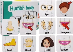 Puzzle éducatif – parties du corps humain, 10 paires, vocabulaire anglais