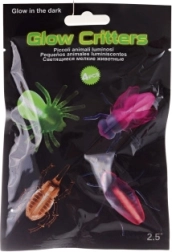 Insectes lumineux – set de 4 pièces