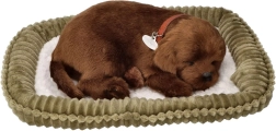 Chiot en peluche ronflant – labrador chocolat sur son coussin