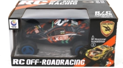 RC voiture 1:24