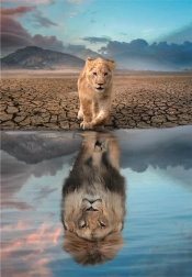 Puzzle 300 pièces – Autoréflexion