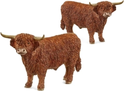 Taureau des hauts plateaux