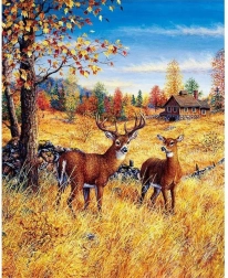 Peinture de diamant Cerfs dans le champ 30x40 cm