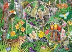 Puzzle familial La Magie de la jungle 350 pièces COBBLE HILL
