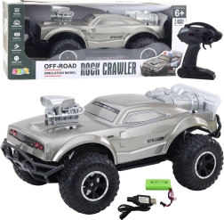 Grande voiture RC tout-terrain 1:8, argent