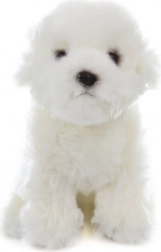 Bichon maltais en peluche 31 cm