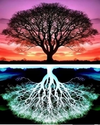 Peinture diamant Arbre 30x40 cm