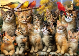 Puzzle Chats et Oiseaux 500 pièces