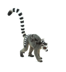 Mojo Lémurien avec bébé