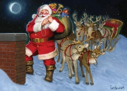 Puzzle Sur le toit 500 pièces