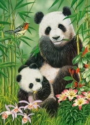 Puzzle Castorland Panda Brunch 300 pièces