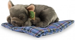 Rappa chien en peluche couché ÉCOLOGIQUE