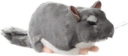 Chinchilla en peluche 22 cm
