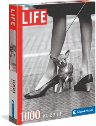 Puzzle Chihuahua de Clementoni 1000 pièces