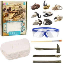 Kit archéologique de fouilles de crânes pour enfants