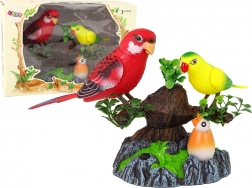 Perroquets chantants et mobiles sur un arbre coloré