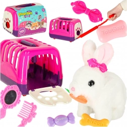 Lapin Interactif avec Carotte