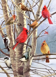 Puzzle Oiseaux en hiver 1000 pièces