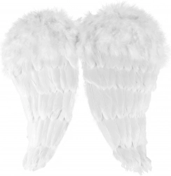 Ailes d’ange en plumes